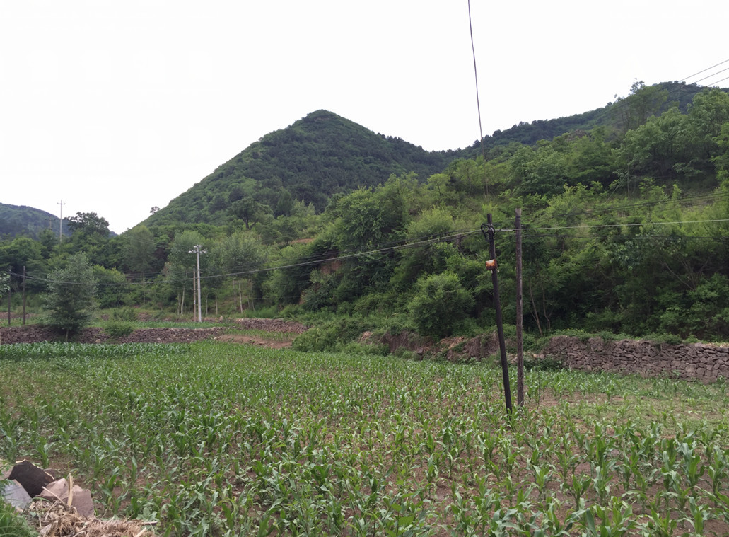 承德市雙橋區牛圈子溝鎮馬架子村土地流轉項目